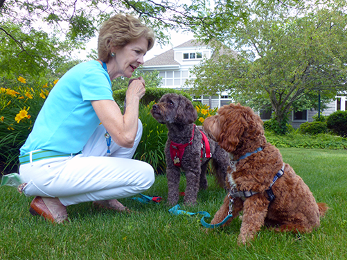 Care Dimensions Volunteer Pat Fleming instructs her pet therapy dogs, Tessie, who is retiring, and Keeva, who is Tessie’s successor, at the Kaplan Family Hospice House in Danvers.
