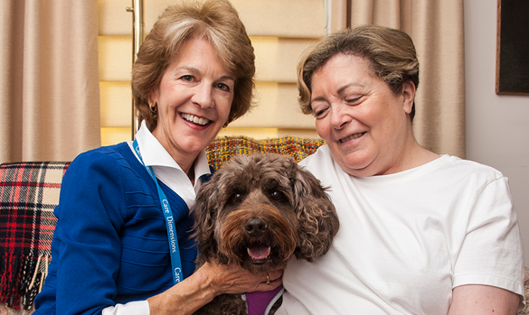 hospice care services in MA