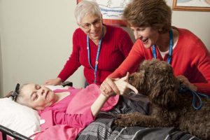 Care Dimensions pet therapy dog Tessie visits female hospice patient