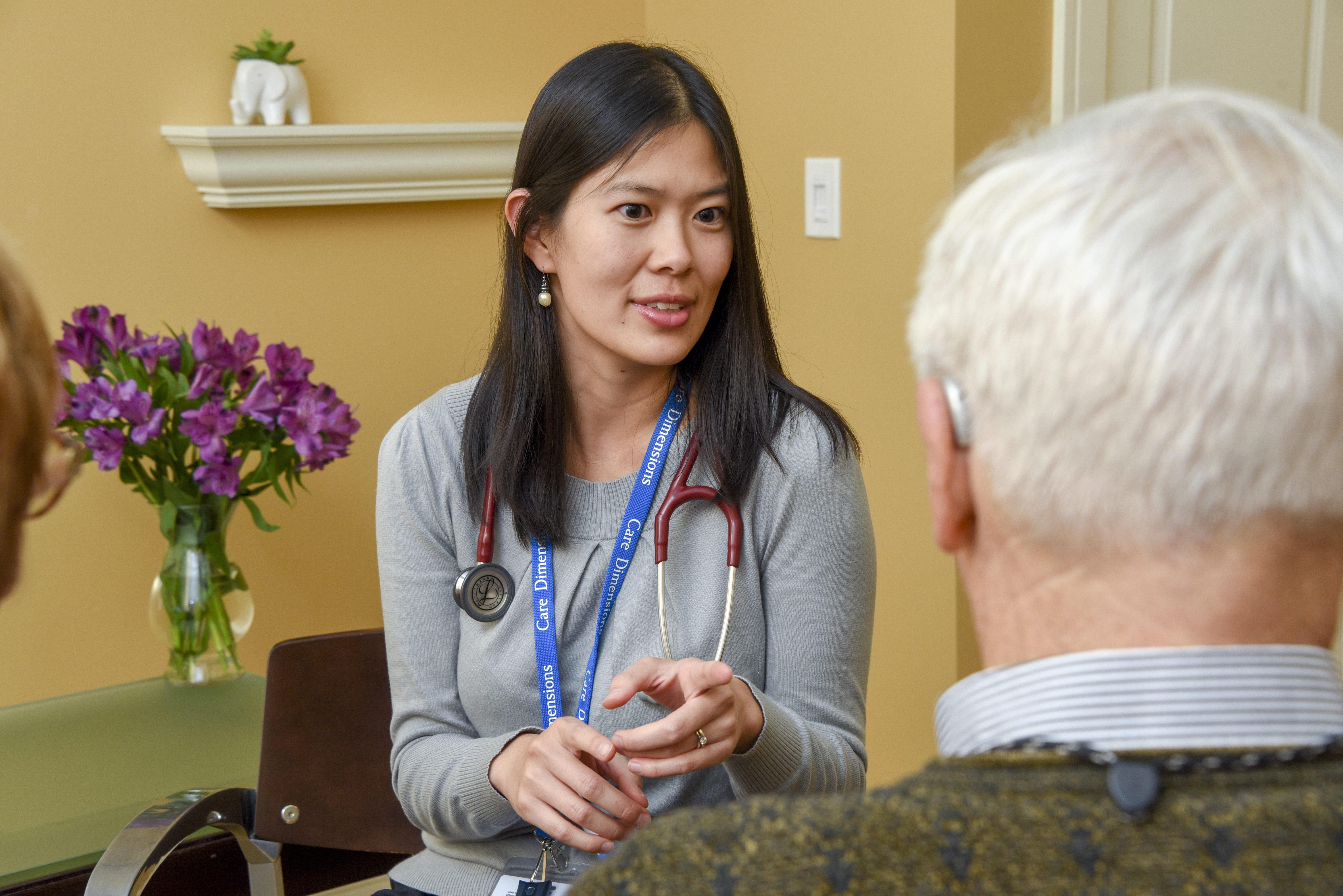 Care Dimensions Hospice and Palliative Care Physician Anna Chon, MD, discusses care options with a patient.